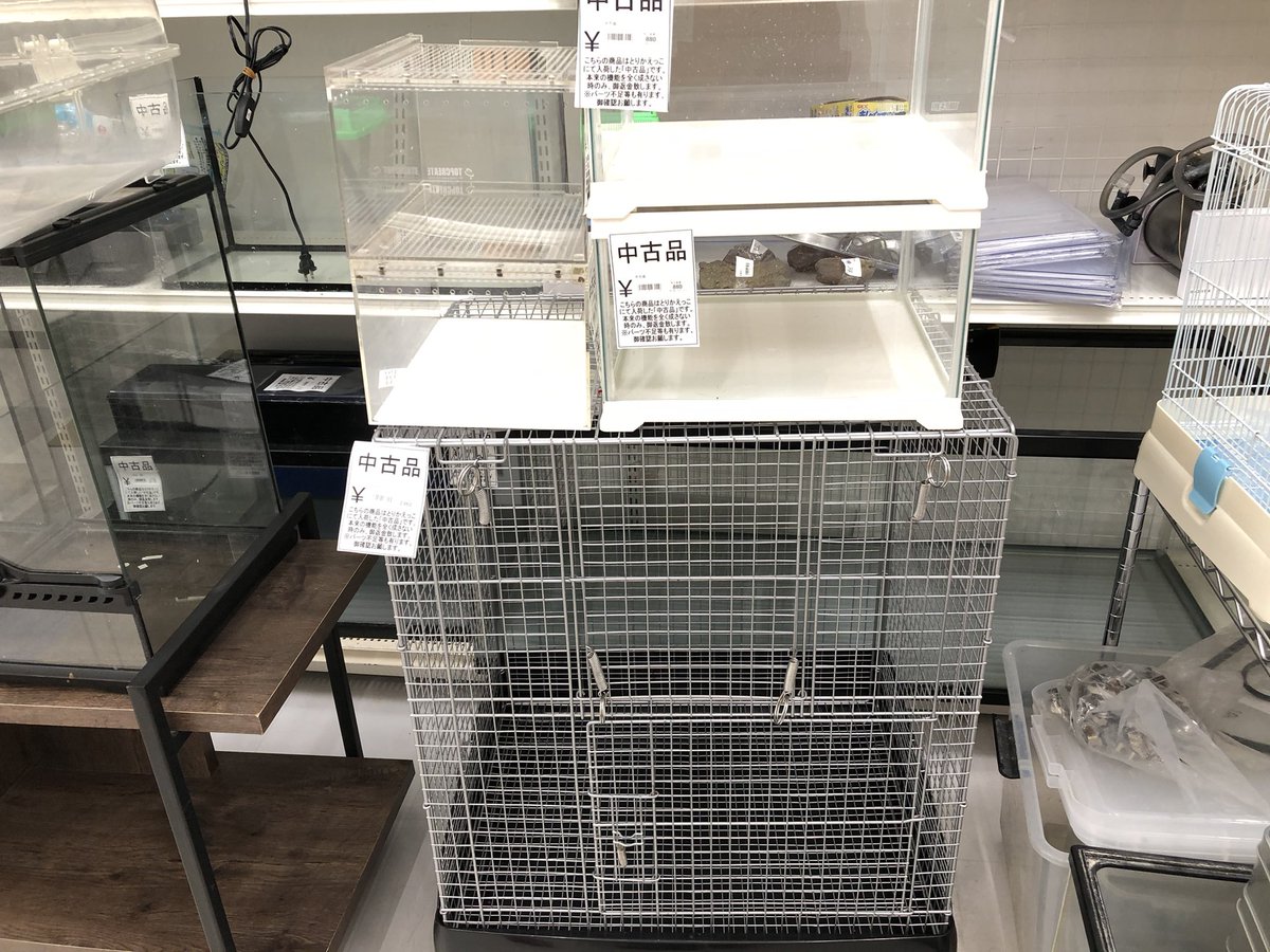 中古品買い取りました。 90cm水槽台¥5,500- グラステラリウム3045