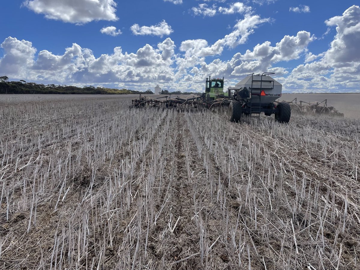 Mark Modra tweet media