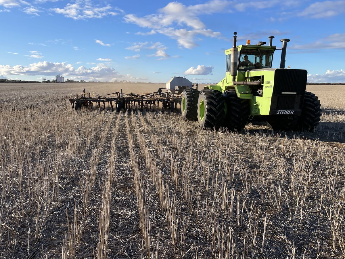 Mark Modra tweet media