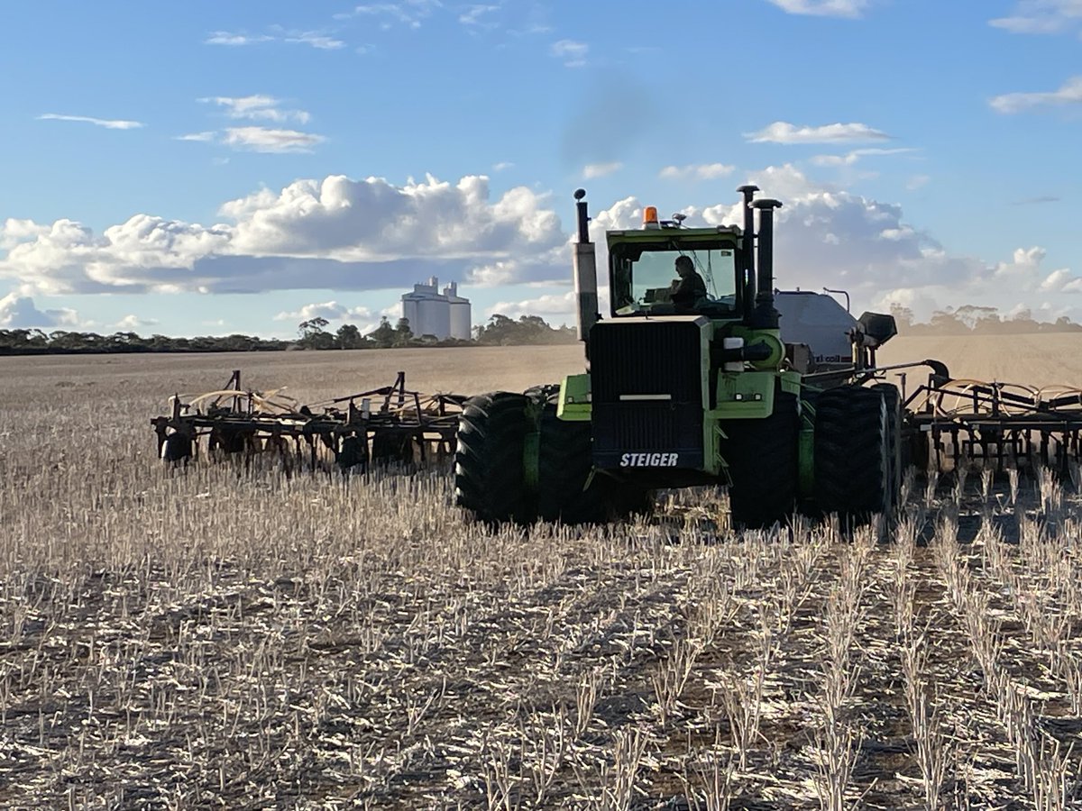 Mark Modra tweet media