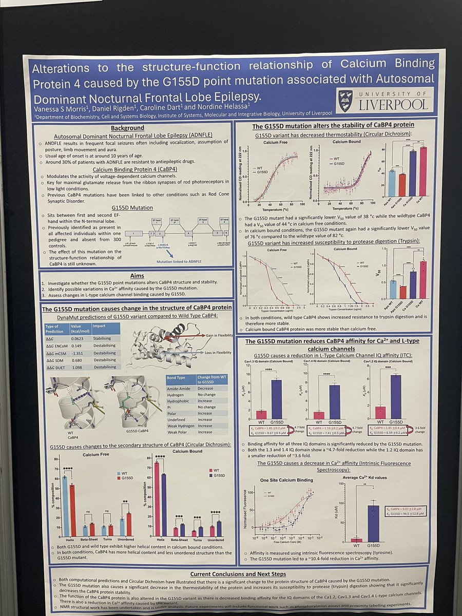 vanessastephx's tweet image. Final conference as a PhD student 🧠 if anyone wants to come and chat about epilepsy/proteins come find me at  number 304! 🥼#BNA2025 #epilepsy 
@LNeuroscience @BritishNeuro