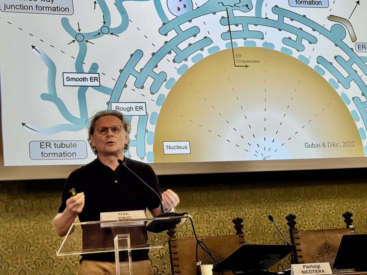 gerry melino tweet media