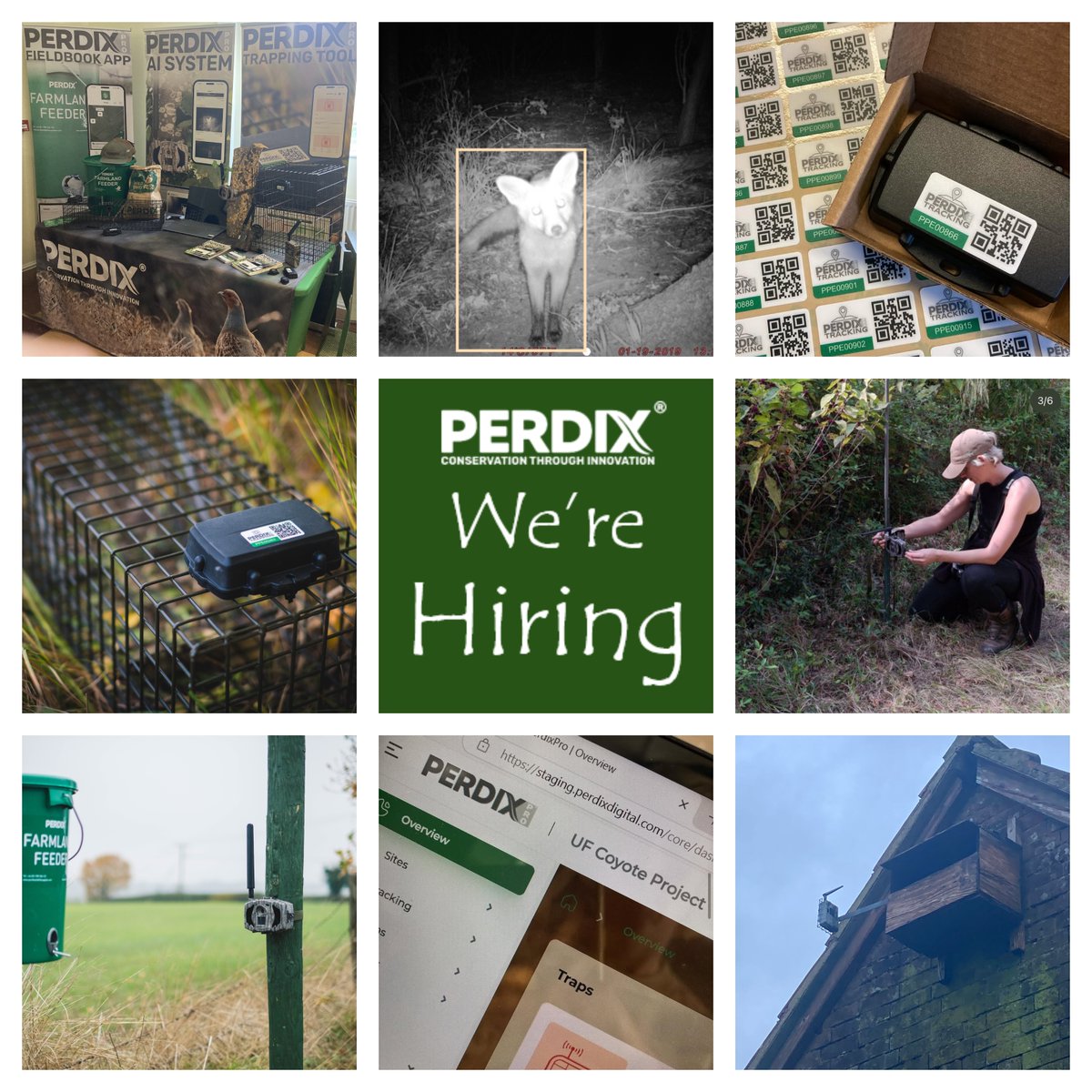 PERDIX is hiring! 

If you're someone who enjoys both tech and the natural world, thrives on variety, and isn’t afraid to get stuck in, then this might be for you.

For more information please visit our website 
perdixwildlifesupplies.com/pages/opportun…