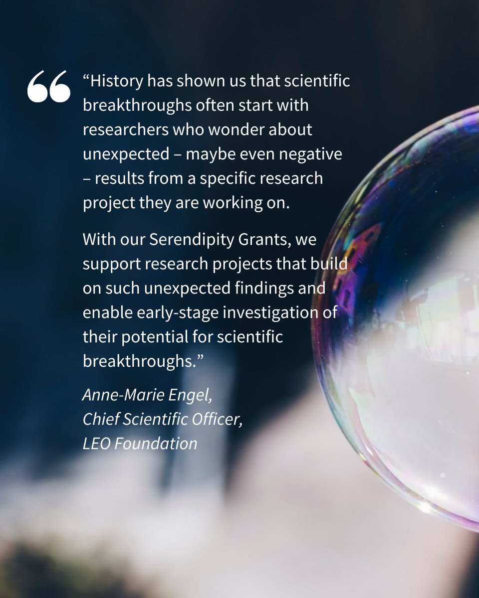 LEO Foundation - LEO Fondet tweet media