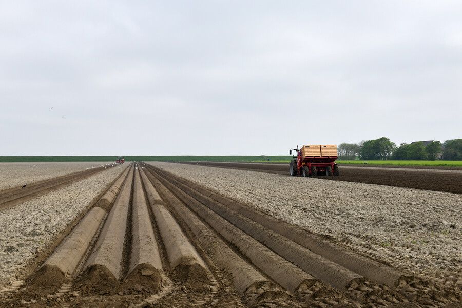 🚜 Agrariërs in het aardbevingsgebied hebben nog een week de tijd om een aanvraag te doen voor de Maatwerkregeling Agroprogramma. Meer info ⤵️ provinciegroningen.nl/subsidies/werk…