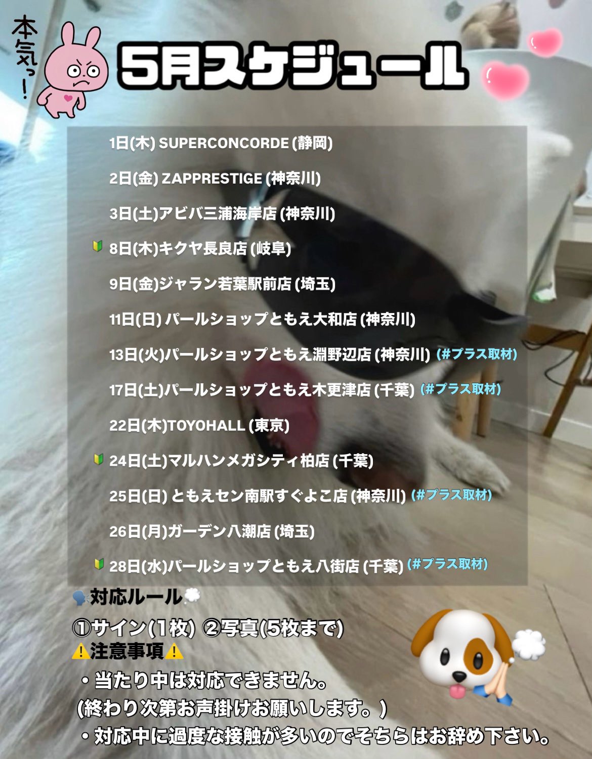 ぷにまる🐳 (@Puni__Maru_) / X ぷにまる🐳 (@Puni__Maru_) / X