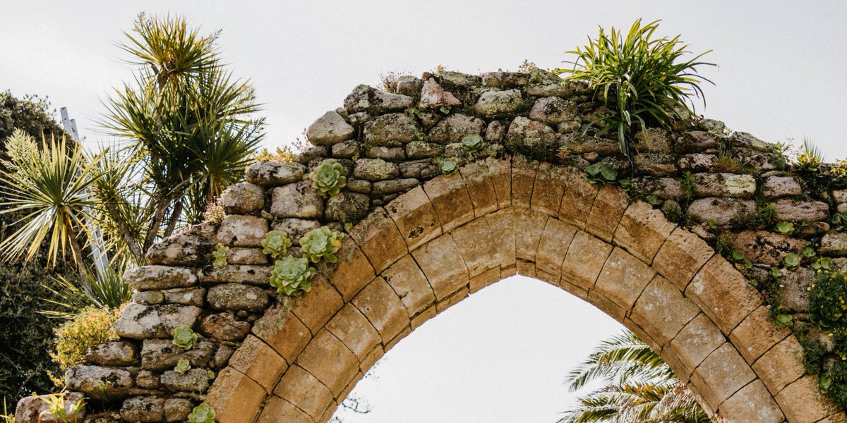 IOSTravel's tweet photo. Reasons to visit Scilly: the photos say it all...
Exotic blooms, lush greenery, and history at every turn. A botanical paradise.
📍 Tresco Abbey Gardens
#ScillyAdventures #GardenLovers #ReasonsToVisitScilly https://t.co/WUjVwjMRt5