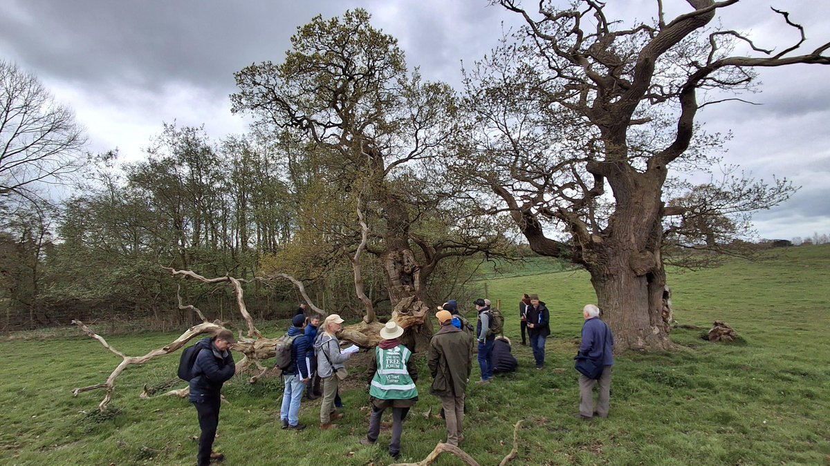 Thank you to everybody who has contributed to our Big Give campaign, we have been overwhelmed with the support you have shown to the ATF. Please donate before 12 noon TODAY, to help us raise our goal of £20,000 to support our work: tinyurl.com/yznn5x5e