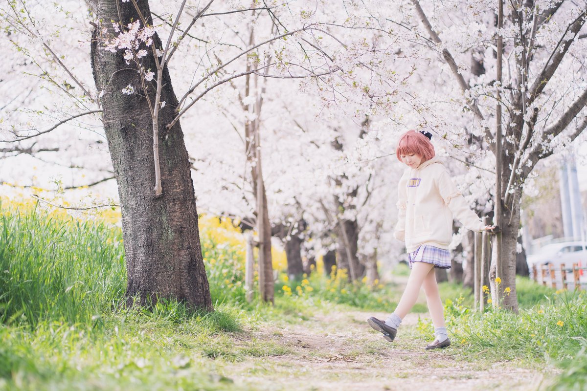 sara.∗̥✩⁺˚ tweet media