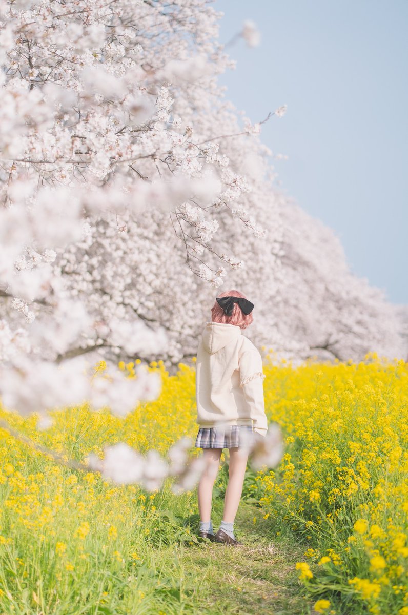 sara.∗̥✩⁺˚ tweet media