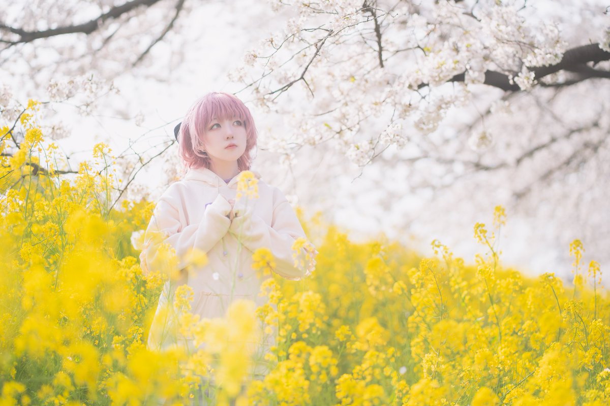 sara.∗̥✩⁺˚ tweet media