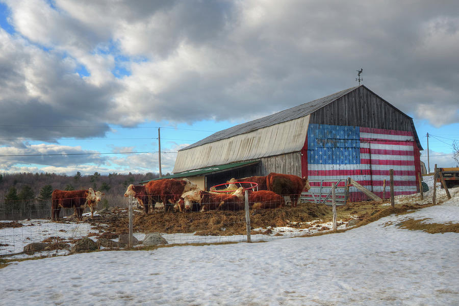 DawgRight's tweet photo. I pledge allegiance to the flag of the United States of America and to the republic for which it stands, one nation under God, indivisible, with liberty and justice for all https://t.co/BUK95wdy3W