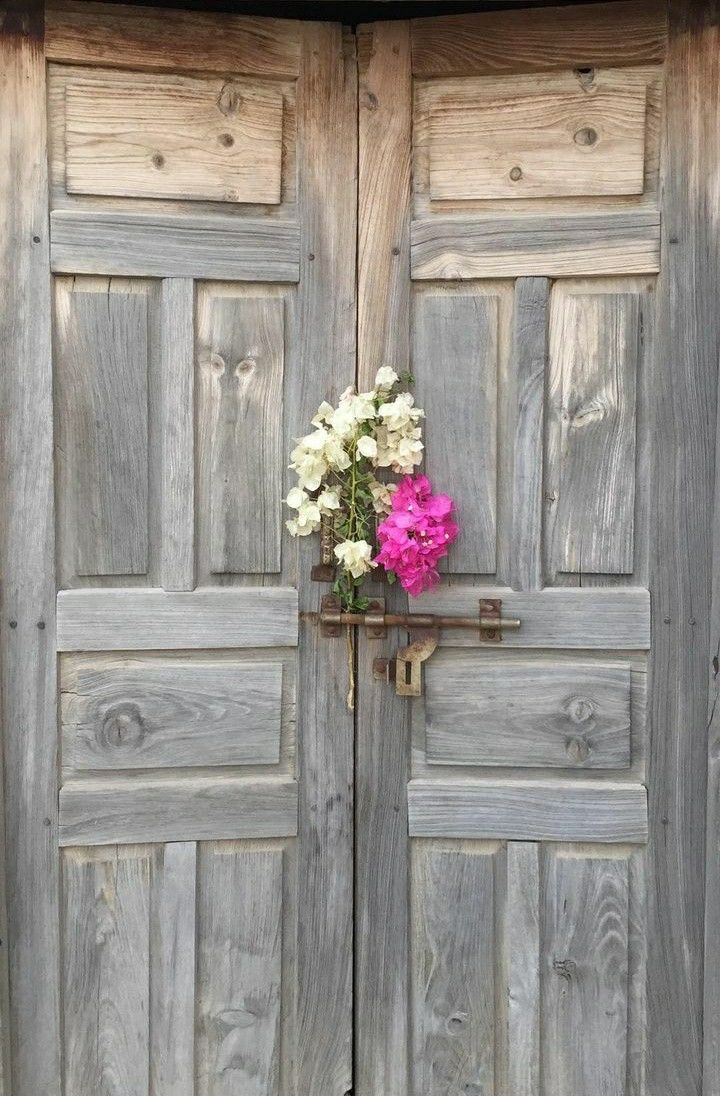 "Hiç bir tedaviye cevap vermeyen hastalıklardan biride karaktersizliktir..."
🦜