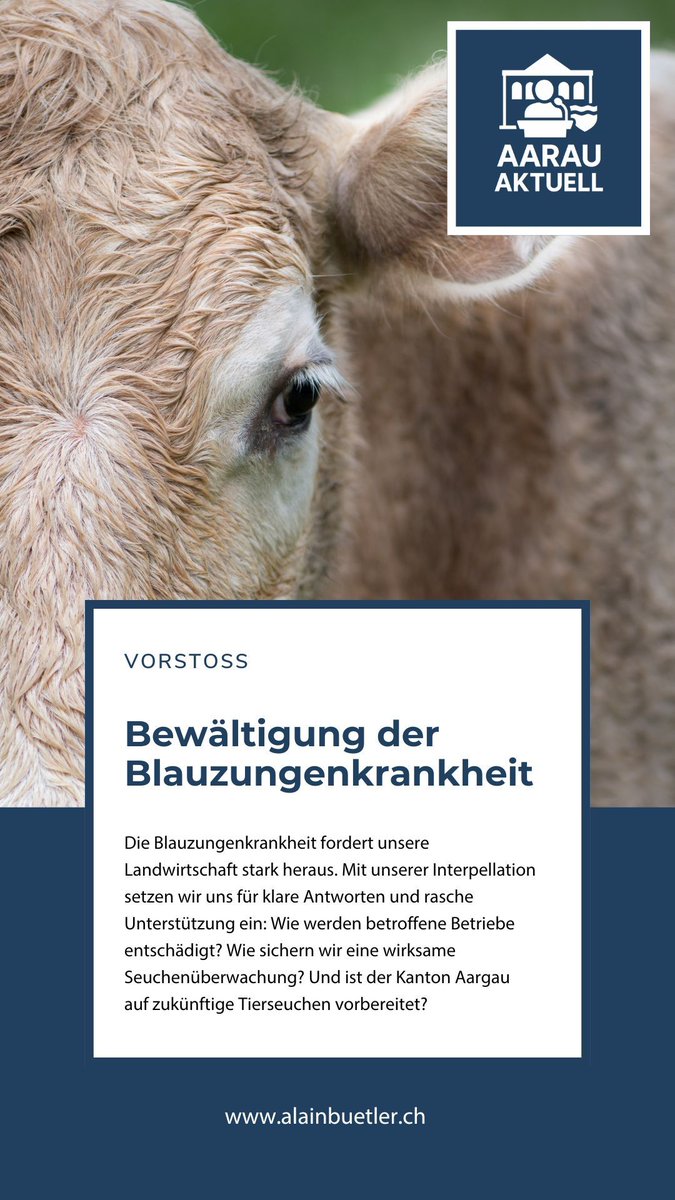 Gemeinsam mit Lukas Abt habe ich heute im #GRAG unseren ersten Vorstoss eingereicht. Die Blauzungenkrankheit fordert unsere Landwirtschaft stark heraus. Mit unserer IP setzen wir uns für klare Antworten und rasche Unterstützung ein. 

alainbuetler.ch/erster-vorstos… 
#AarauAktuell #GRAG