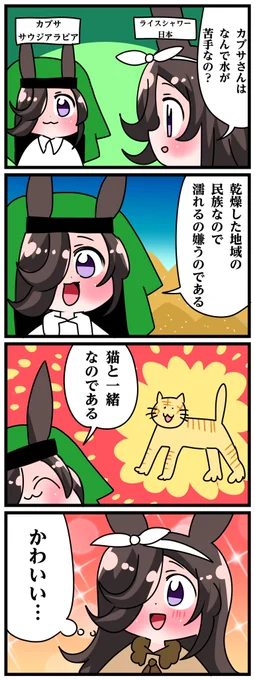 世界のライスその49
「カブサはねこ」 