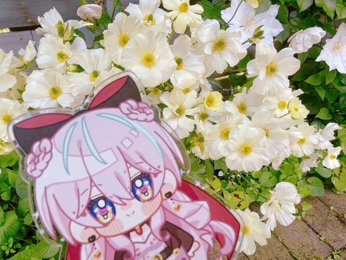 ということで今日はぴぐちゃんをめちゃくちゃ振り回してしまったんだけど行きたかったイングリッシュガーデンさんに行きました ブルガリアフェスやっててフォークダンスとかもしててかわいかった 美人ばっかりで眼福!薔薇の香りたっぷりで癒された! ドーンってお名前の花も可愛かった〜!