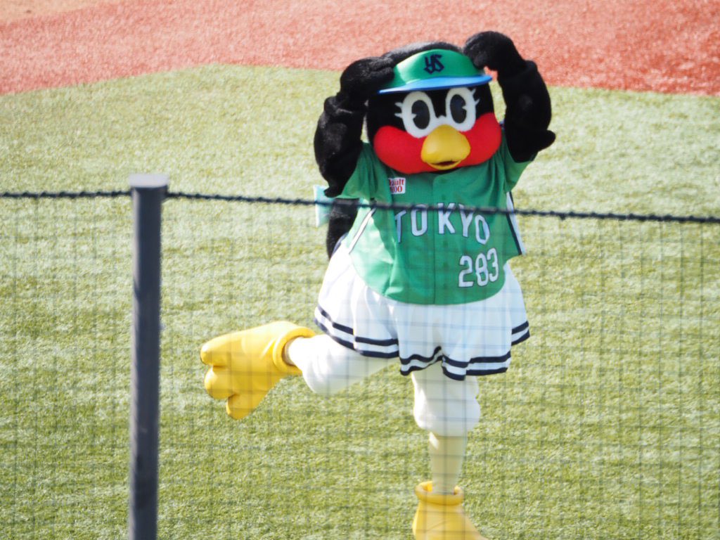 hsmr730's tweet photo. 姫撮ってたらみにーちゃんがログインされた🫶
(ネットが天敵)
#つばみ
#MINII https://t.co/OvglCSRDIO