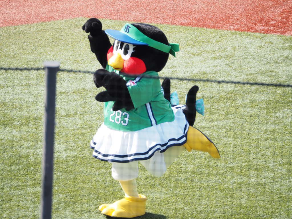 hsmr730's tweet photo. 姫撮ってたらみにーちゃんがログインされた🫶
(ネットが天敵)
#つばみ
#MINII https://t.co/OvglCSRDIO