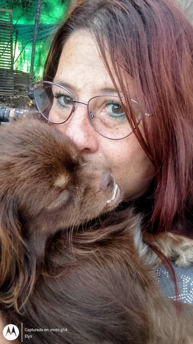 ely_lys's tweet photo. #fmluzu #DiaDelAnimal  ella es Bonnie  una shitsu trucha, me metieron el perro 😅🤣 #LuzuTv https://t.co/gaYjVV17CG