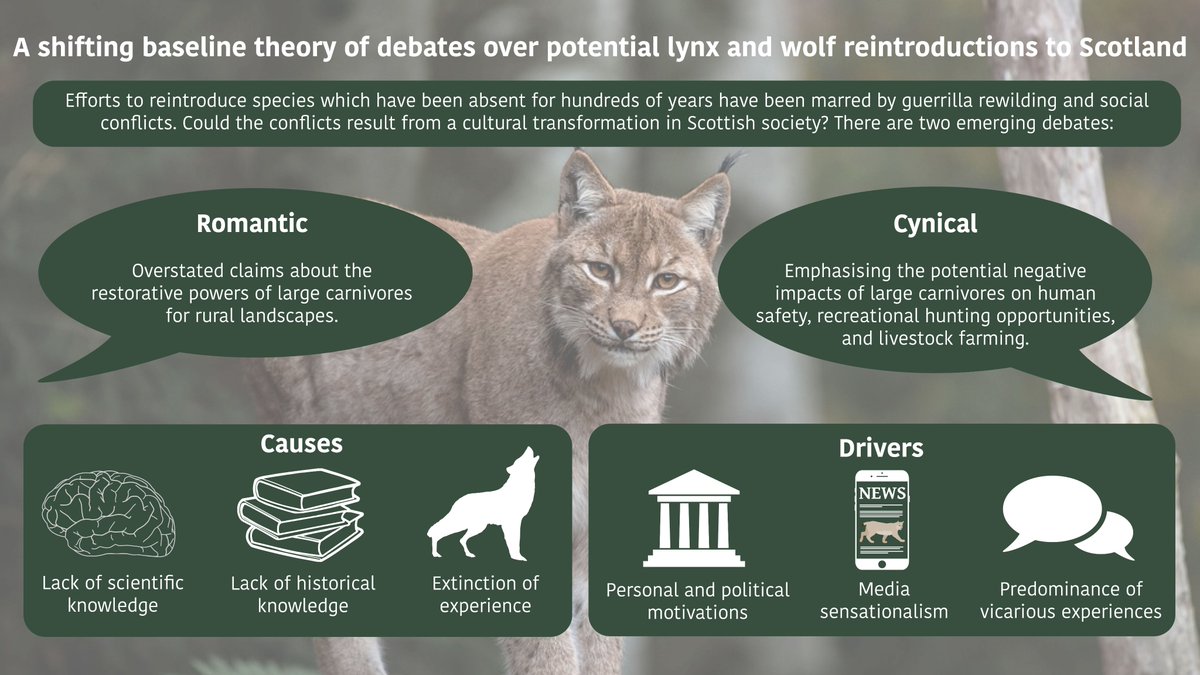 WildCRU, Oxford (@wildcru_ox) on Twitter photo In Scotland, efforts to introduce species that have been absent for hundreds of years have led to conflict and two major schools of thought: romantic and cynical.
What are the causes and drivers of these debates?
Find out👉 tinyurl.com/mrx9zsae
<a href="/kclgeography/">King's Geography</a> <a href="/OxfordBiology/">Oxford Biology</a> In Scotland, efforts to introduce species that have been absent for hundreds of years have led to conflict and two major schools of thought: romantic and cynical.
What are the causes and drivers of these debates?
Find out👉 tinyurl.com/mrx9zsae
<a href="/kclgeography/">King's Geography</a> <a href="/OxfordBiology/">Oxford Biology</a>