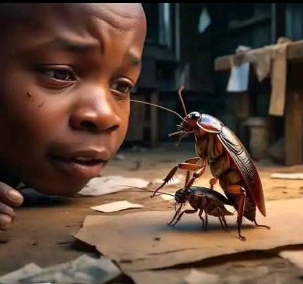 ThonyInoson's tweet photo. _I saw two cockroaches enjoying themselves. I wanted to spray RAID and I thought  twice, Maybe he has been chasing her for years and she has been eating his money without allowing him get down there😩, I am human I have a good heart so I let him enjoy🙂‍↕...But as I was about https://t.co/FFRBNVo1LV