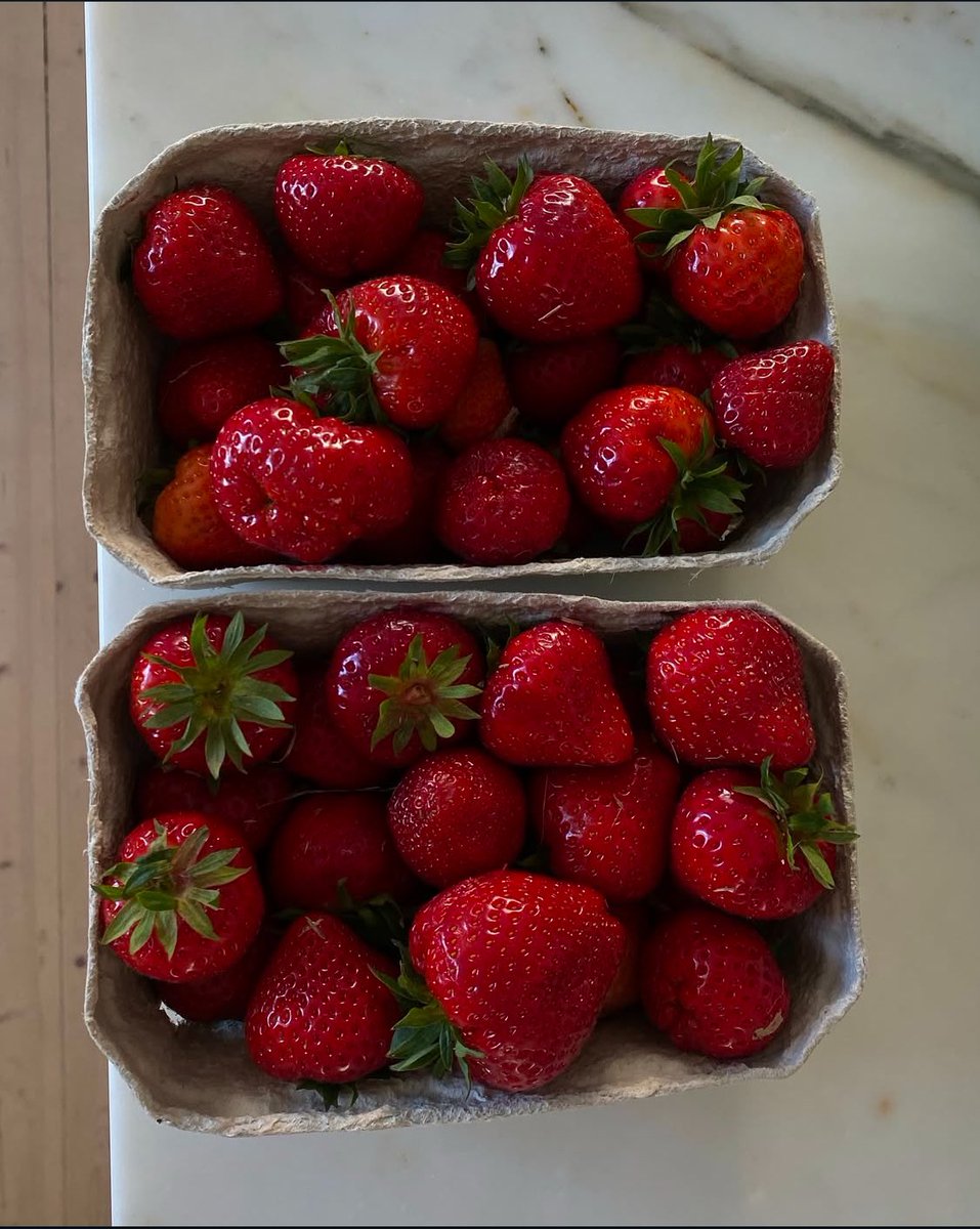 fresh strawberries 🍓