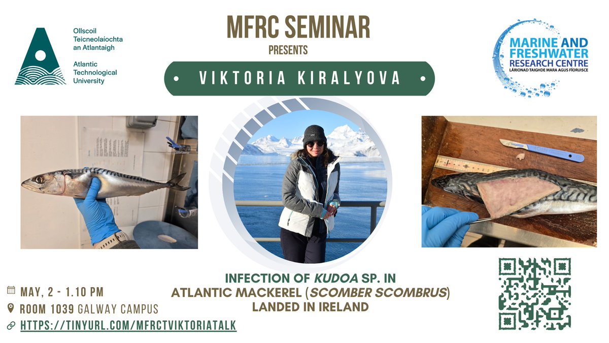 [MFRC Seminar]

This week Viktoria Kiralyova will talk about Kudoa sp. infection in Atlantic Mackerel 

Join us in person <a href="/atu_ie/">Atlantic Technological University</a> Galway campus this Friday at 1.10 pm

or online at:
tinyurl.com/MFRCTViktoriaT…