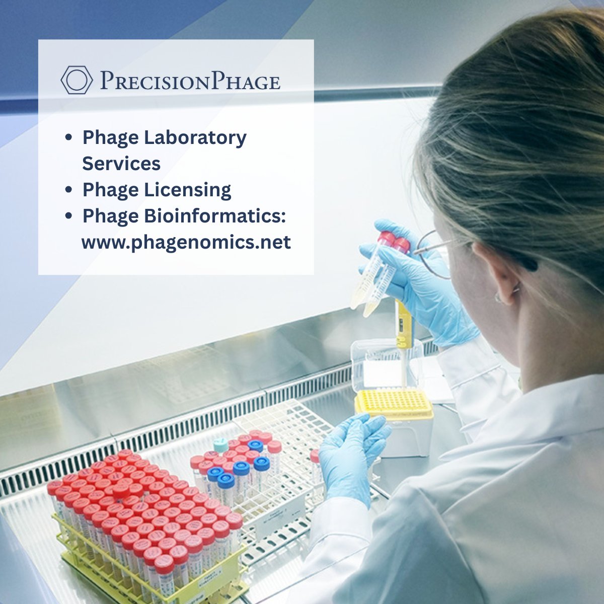 We are excited to announce that PrecisionPhage has joined <a href="/PhageEU/">Phage Europe</a> as a corporate member! Together in #PhageEU, we will raise awareness about the potential of phages on a larger scale. More about us:
precisionphage.com
phagenomics.net 

#AMR #phage #bacteriophage