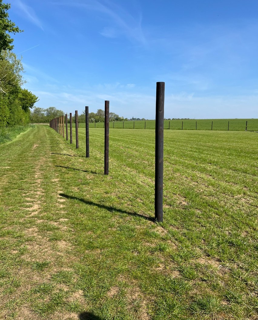 Cosgrovepark's tweet image. Little Bert has been testing the new Dog Agility while his owner is installing the fencing! 🐶

Coming soon! 👀🤩

#DogAgility #ComingSoon #InsideCosgrovePark #CosgrovePark