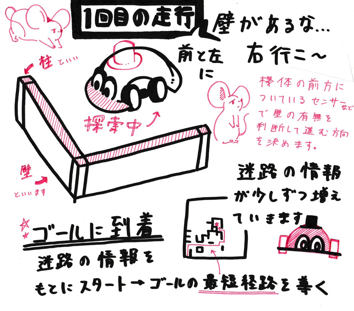 東京理科大学 Mice tweet media