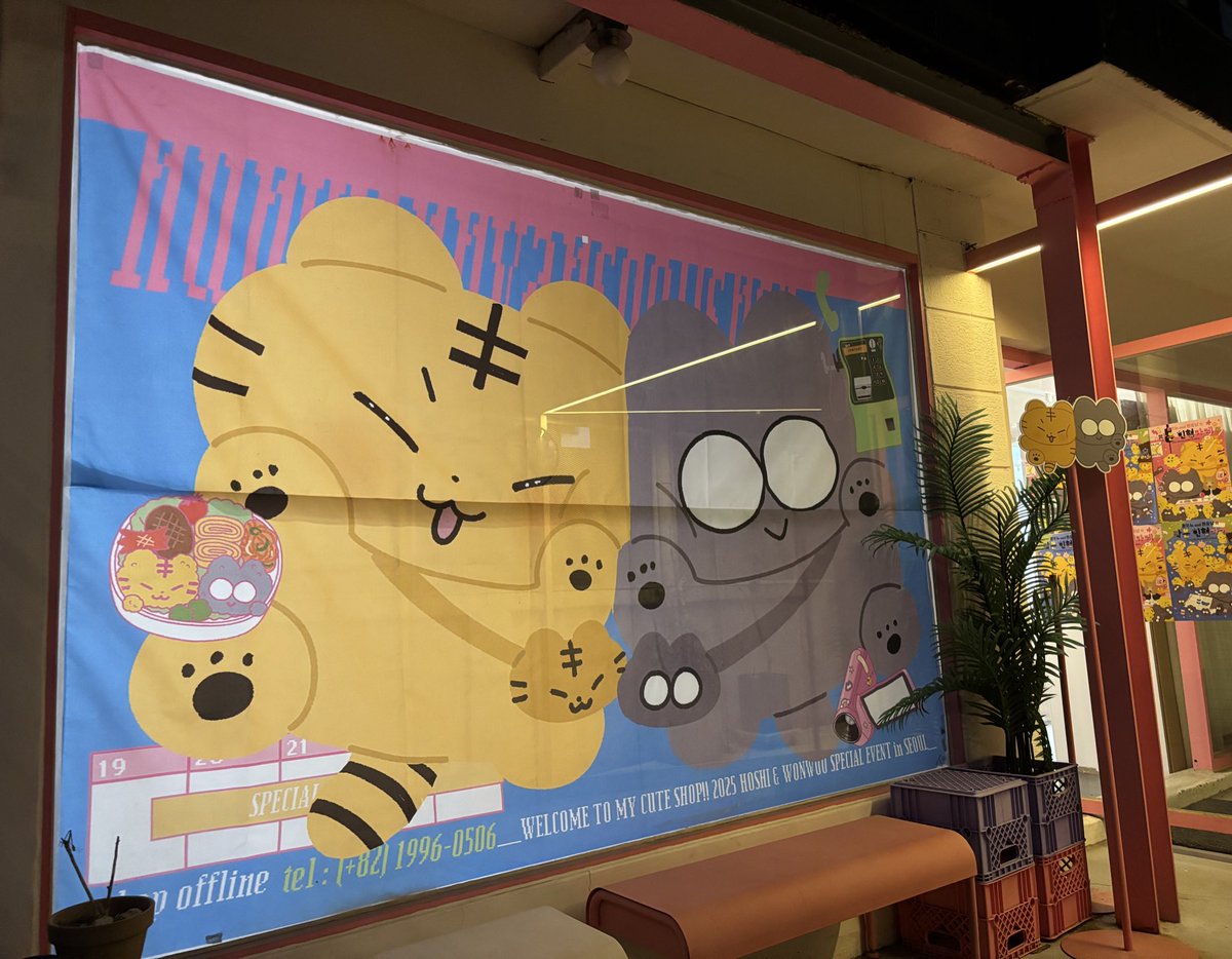 흥쑤뇨and원웅냥의 작은 인형가게🏠 tweet media