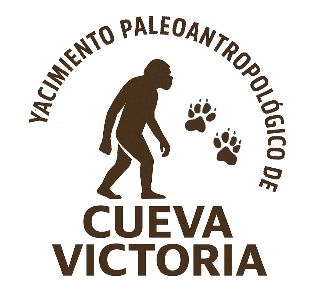 YacimientoV's tweet image. 🐾 🦣 CUEVA VICTORIA | EL ESTRECHO DE SAN GINÉS 🇩🇰