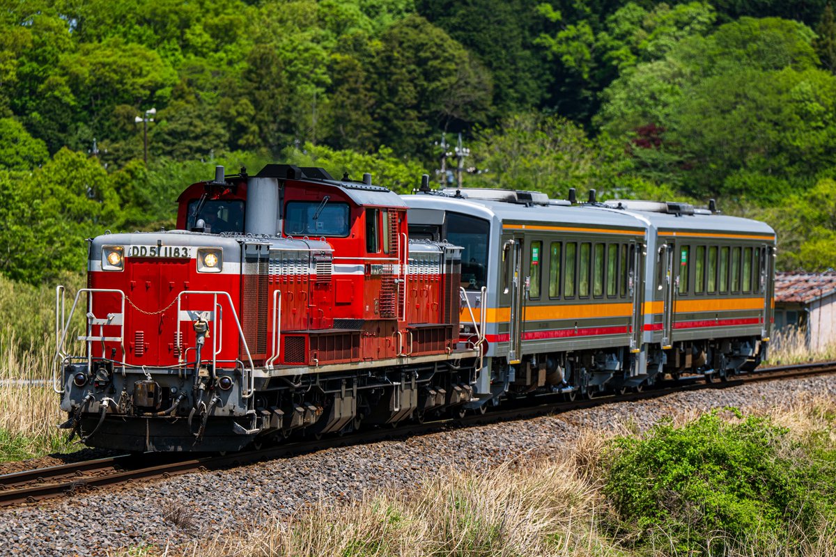 4/29(火)
配8725レ　DD51 1183+キハ120 301+キハ120 303

岡山色になったキハ120の亀山配給があるとのことで出撃。
朝から目まぐるしく晴れたり曇ったりしましたが、通過時にはバッチリ晴れてくれました。
キハ120が2両繋がった(しかも色違い)亀山配給がまた見れて良かったです。