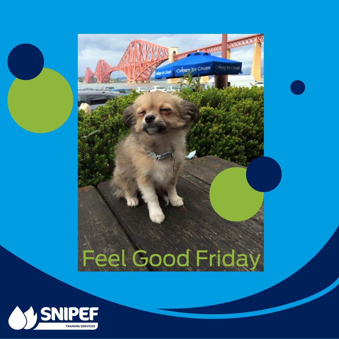 Let's spread some joy and cuteness today! Share a picture of your adorable pets and let us know what makes them special. Whether they're snuggling, playing, or just being their cute selves🐶🐱🐰Can't wait to see your lovely companions! 💖