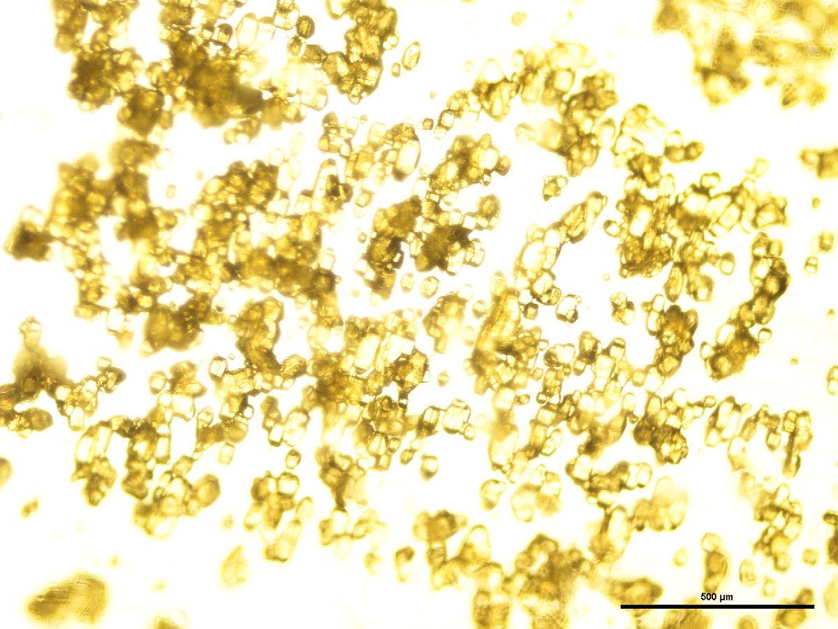 PabloFuSO4's tweet image. The guy with the #crystals is back. It looks like gold, but I swear it&apos;s not. It is one of the most recent #phosphorus heterocycles we have discovered in the group.