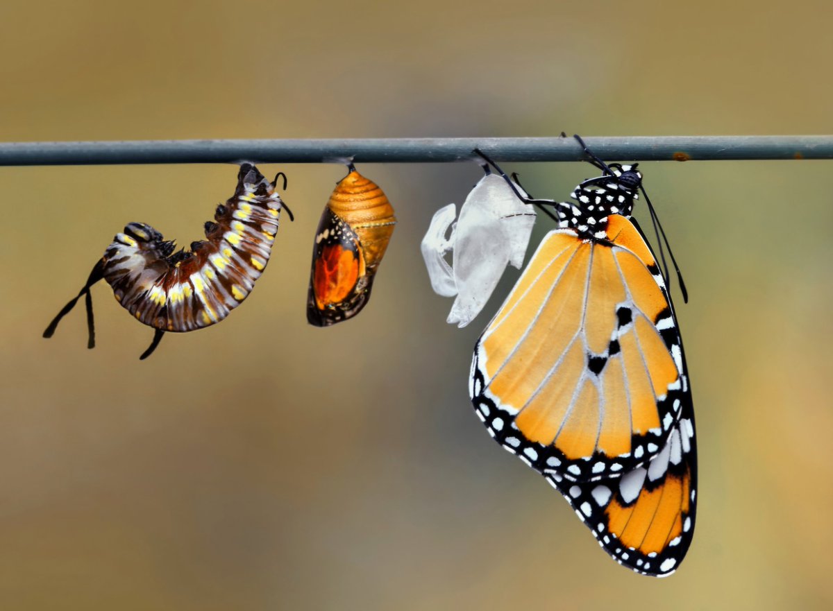 Just because something starts off one way doesn't mean it can't change into something even more spectacular. Time can transform just about anything. So ask yourself,  "What am I doing with my time?" I'm using my time to MAKE AN IMPACT!