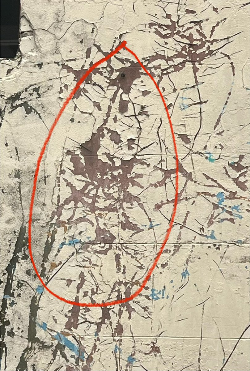 Bec Shaw tweet media