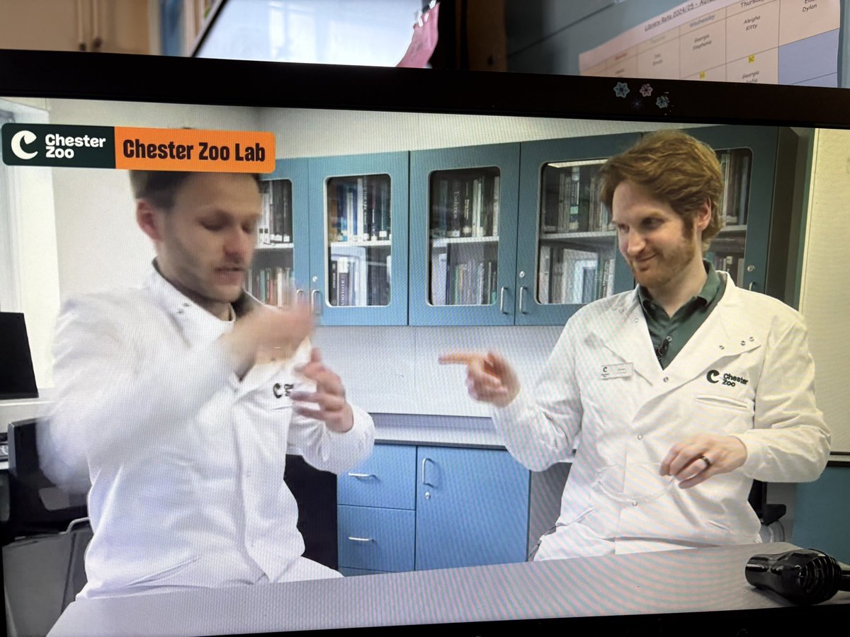 To mark Earth Day 2025 🌎some of our classes have been taking part in Chester Zoo’s live lesson. We learnt lots of interesting new facts <a href="/chesterzoo/">Chester Zoo</a>. 🌎🌍🌏