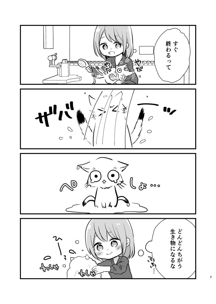 (2/3) 