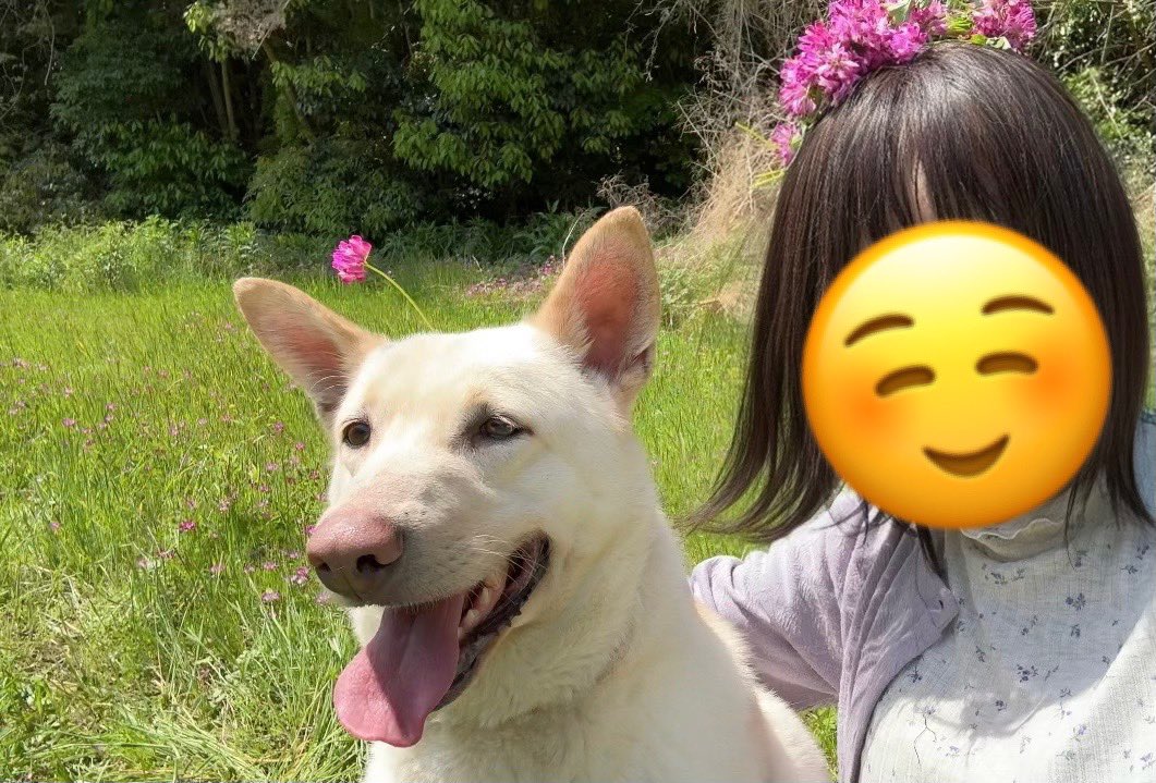 そよそよそよ風