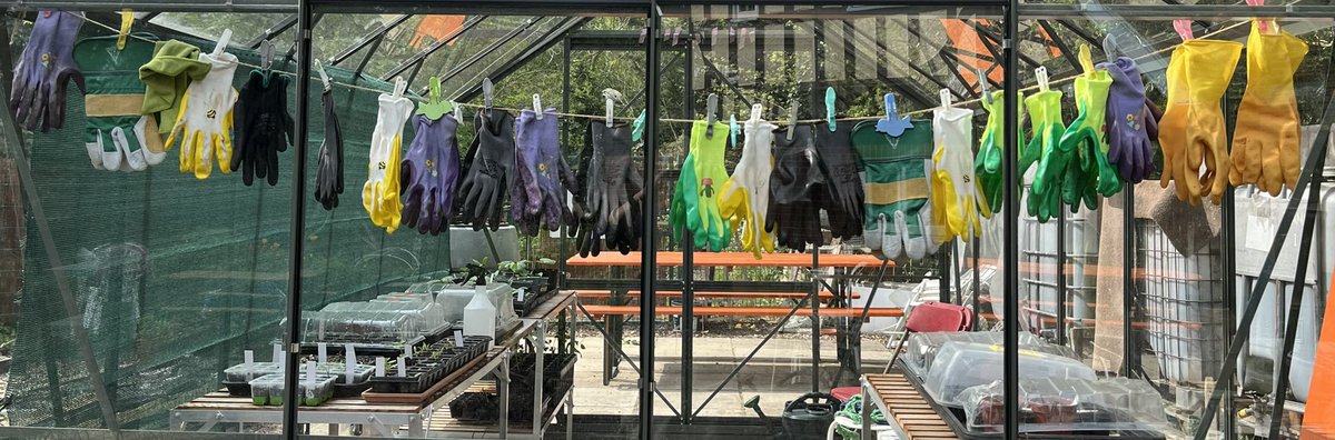Garden gloves for its volunteers drying at the Dulwich Vegetable Garden, Roseberys Lodge in <a href="/DulwichPark/">Dulwich Park Friends</a> this week.