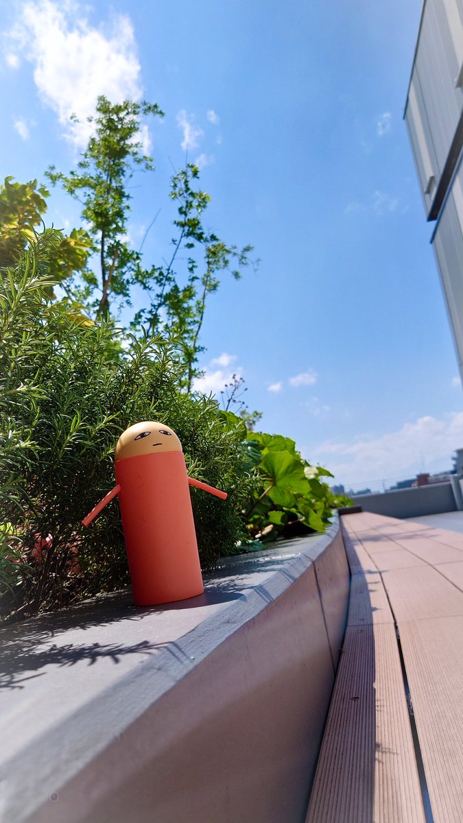 its_ment2525's tweet photo. 青空と僕とジャスタウェイ(訳:練習お疲れ様でした)

 #Its_ment https://t.co/vxtMGPqk8c