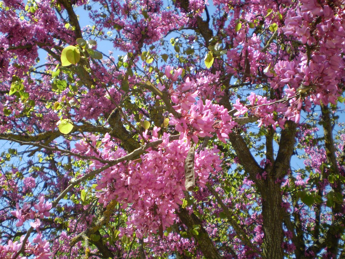 clau ೀ ࣪ ˖ ⭑ tweet media