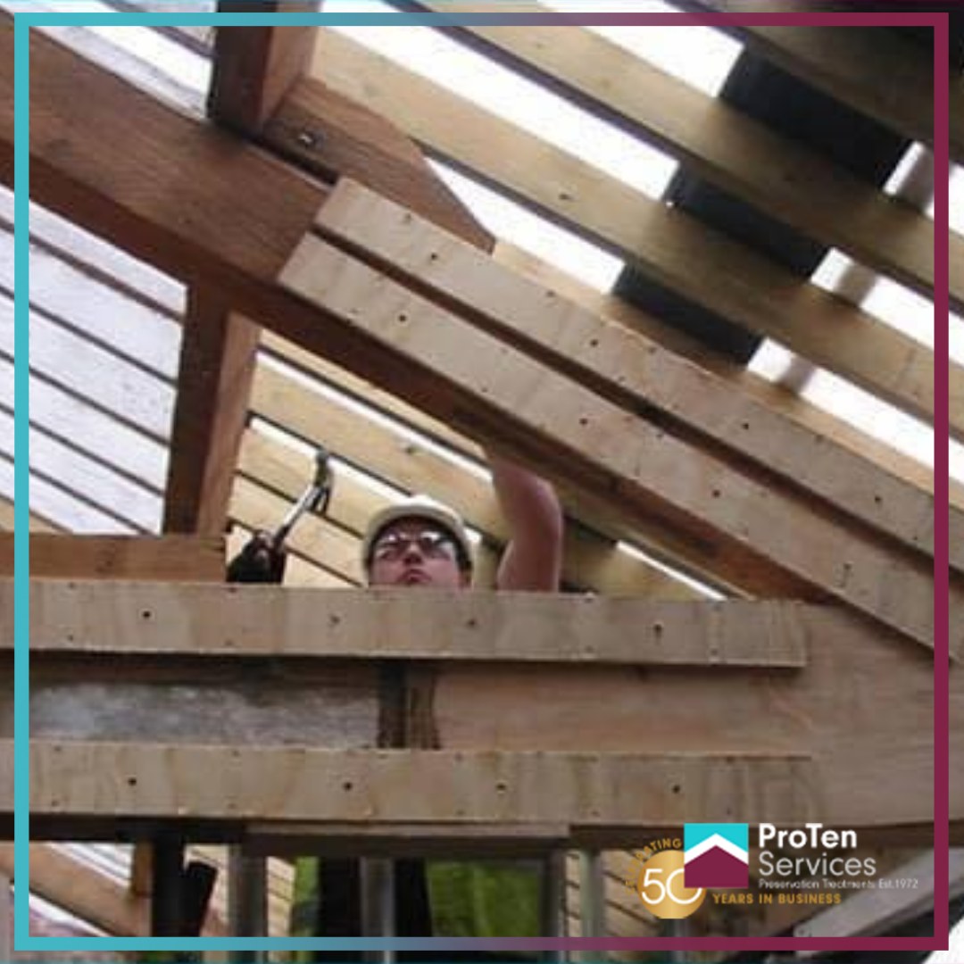 ProTenServices's tweet image. 🛠️ Got timber damage? Resin repairs restore only the affected sections—saving time, cost &amp;amp; structure.

💡 Smart, effective &amp;amp; efficient.
🔗 protenservices.co.uk
#ProTenServices #TimberRepair #ResinRepair #DampSolutions #PropertyCare