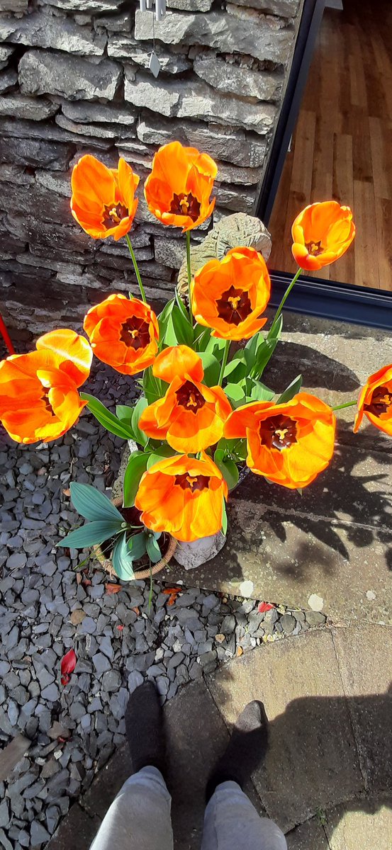 <a href="/FarmerGracy/">Farmer Gracy</a> Apeldoorn Elite, wonderful!