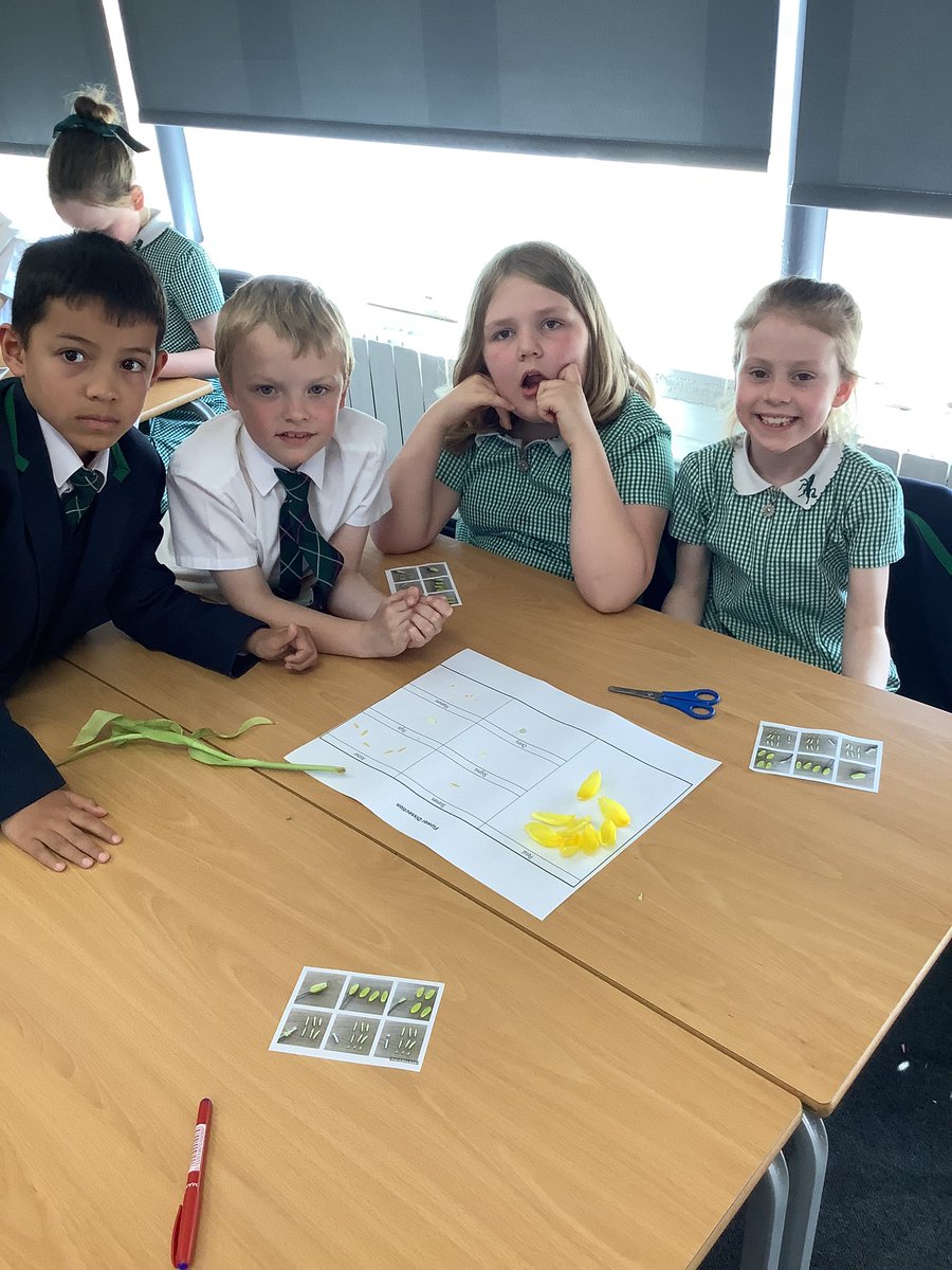 Early Reading - Read Write Inc. (RWI) - Aylesford Primary