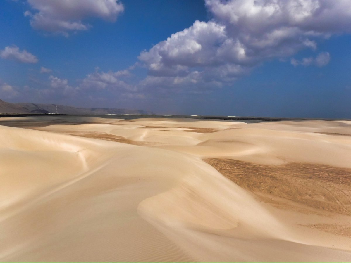 Untamed Borders (@untamedborders) on Twitter photo Our next group trip to the Yemeni Island of Socotra departs in November. The island is one of the most biodiverse places on earth & over 8-days we will take in the extensive range of beautiful landscapes & wildlife it contains. Bookable now ⬇️
untamedborders.com/itinerary/soco… Our next group trip to the Yemeni Island of Socotra departs in November. The island is one of the most biodiverse places on earth & over 8-days we will take in the extensive range of beautiful landscapes & wildlife it contains. Bookable now ⬇️
untamedborders.com/itinerary/soco…