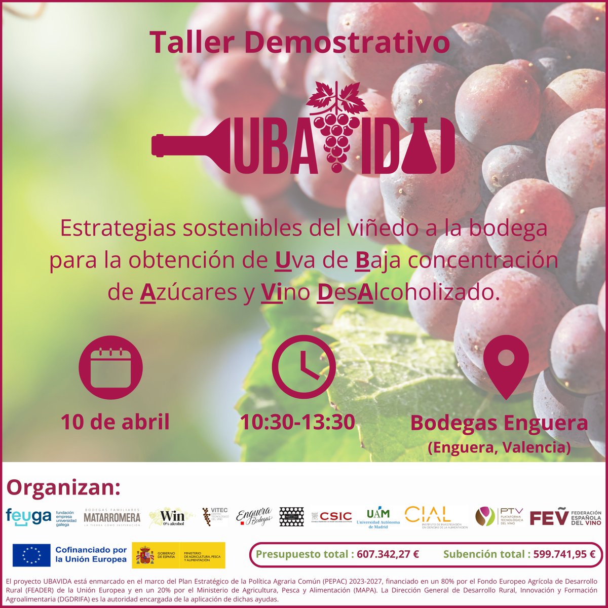 ¿Te perdiste el Taller Demostrativo de UBAVIDA celebrado en Bodegas Enguera?

¡Pues no te pierdas vídeo-resumen de la jornada!: lnkd.in/dsJSfXeh

<a href="/FEUGA_20/">FEUGA</a> | <a href="/Matarromera/">Matarromera</a> | <a href="/WinSinAlcohol/">Win</a>
| #VITEC | <a href="/CIAL_CSIC_UAM/">CIAL</a> | @bodegasenguera
| <a href="/pacolola/">Paco & Lola</a> | <a href="/PT_Vino/">PTVino</a> <a href="/FEV_Vino/">FEV</a>
