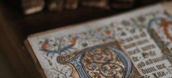 ­ ­ ­ ­ ­ ­ ­ 𝓪͟𝐥͟𝐦𝐢𝐚 𝓴𝐢𝐧𝐠𝐝𝐨𝐦. tweet media