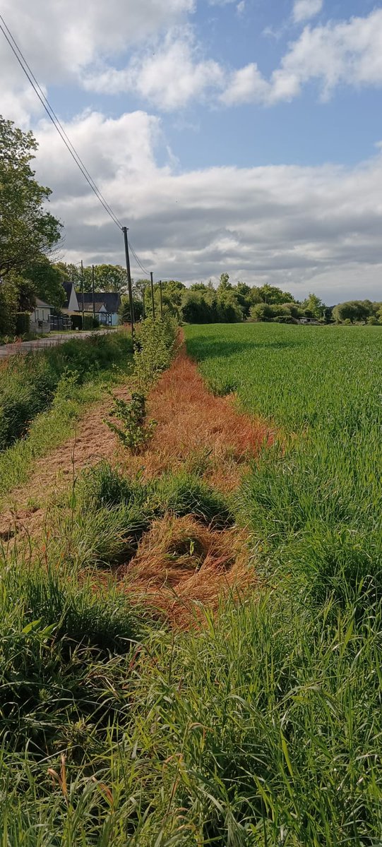 Guillon Michaël (@michaelguillon) on Twitter photo L’image qui exprime le mieux le caractère inapproprié et l’absence de maîtrise, du principe de plantation de haie d’autant plus quand il s’agit comme ici d’une compensation suite à un arrachage réglementaire... #OnMarcheSurLaTete
<a href="/FNSEA/">La FNSEA</a> <a href="/FNSEA44/">FNSEA44</a> <a href="/KarenSerres1/">Karen Serres</a> <a href="/Fragritwittos/">FranceAgritwittos♥️</a> L’image qui exprime le mieux le caractère inapproprié et l’absence de maîtrise, du principe de plantation de haie d’autant plus quand il s’agit comme ici d’une compensation suite à un arrachage réglementaire... #OnMarcheSurLaTete
<a href="/FNSEA/">La FNSEA</a> <a href="/FNSEA44/">FNSEA44</a> <a href="/KarenSerres1/">Karen Serres</a> <a href="/Fragritwittos/">FranceAgritwittos♥️</a>